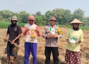 Bhabinkamtibmas Polsek Kanor Bersama Petani Tanam Jagung
